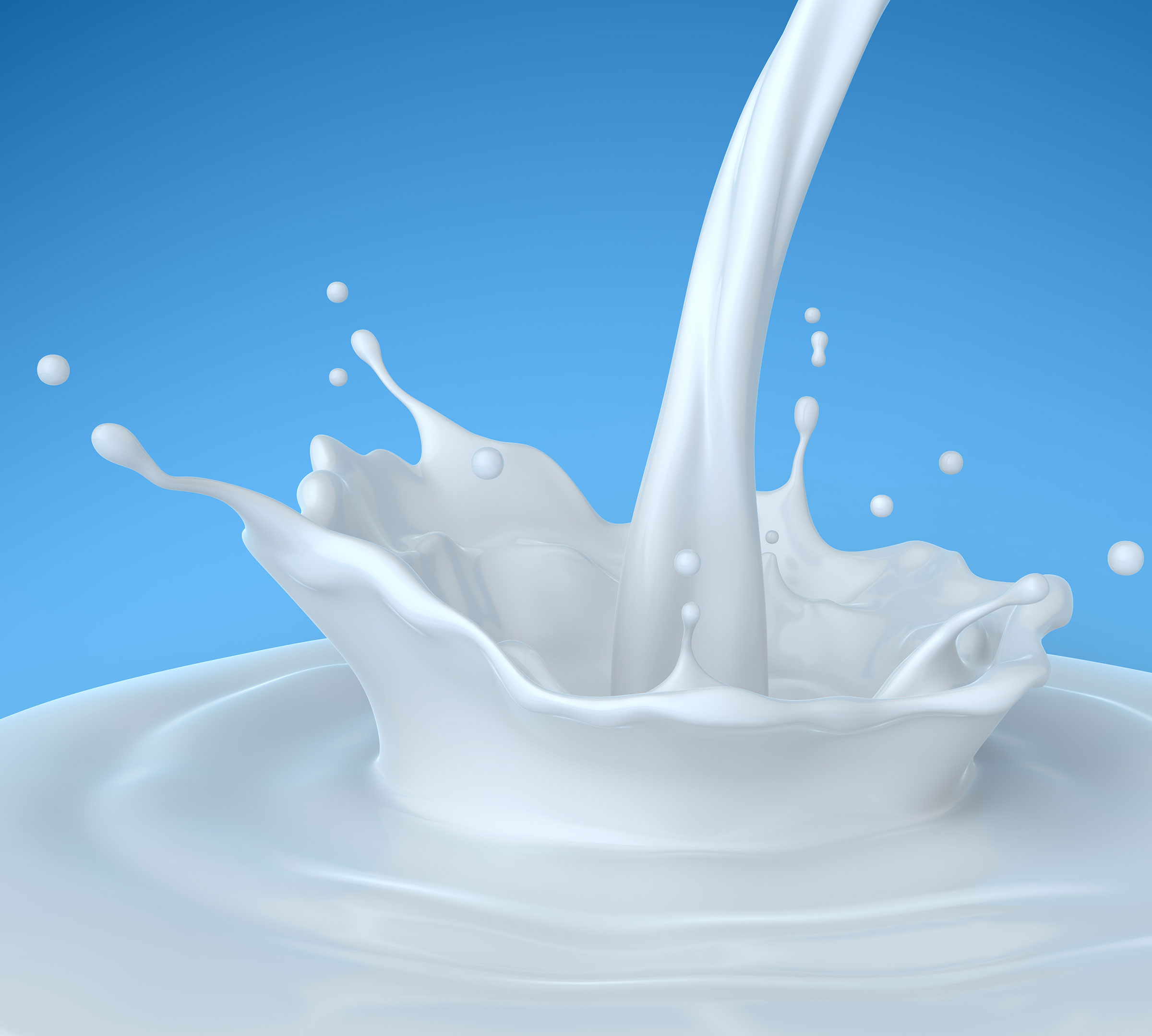 Leche1.jpg