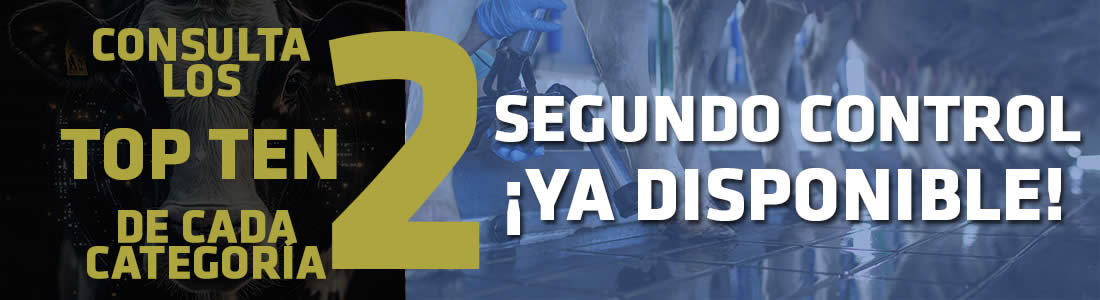 CONTROL2_YADISPONIBLE_opt